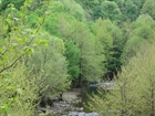 Arpalý