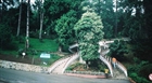 Kaplýcalar