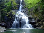 Teþvikiye Þelalesi