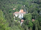 Termal